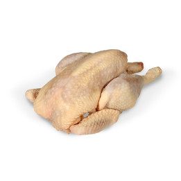 Poule brune