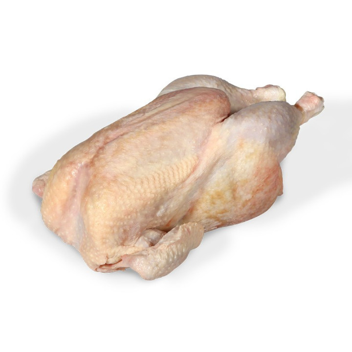 Poule mère