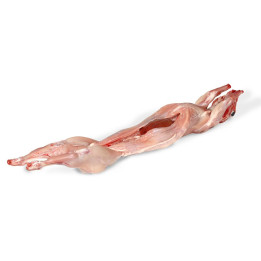 Lapin