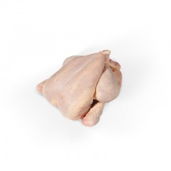 Poulet