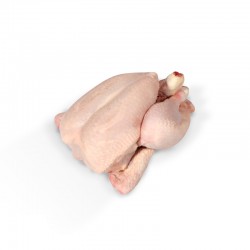 Poulet