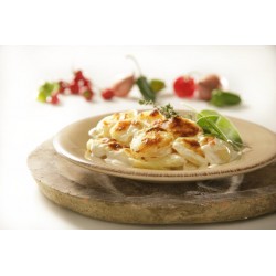 Gratin dauphinois gourmand