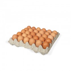 Oeuf de poule